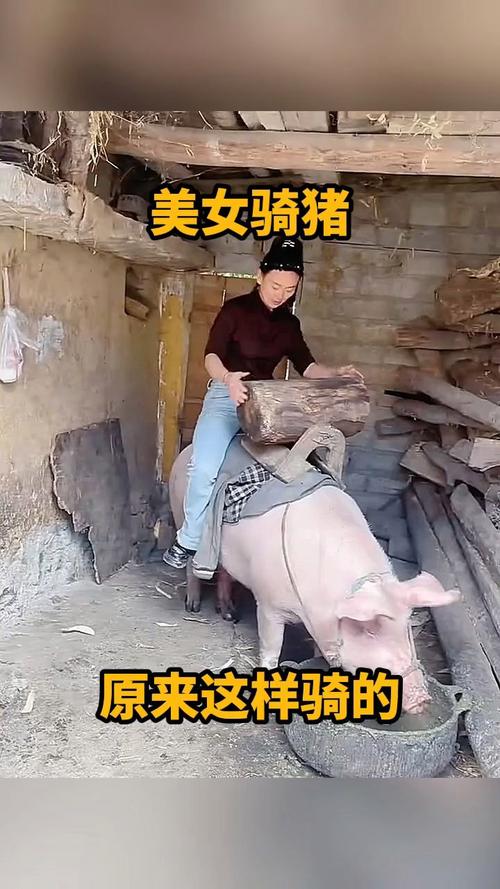 骑猪的抖音短视频怎么制作