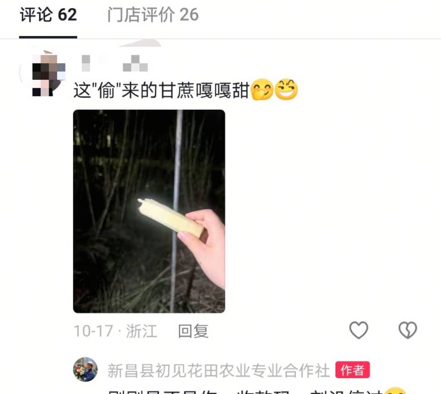 自助偷甘蔗农场爆火后老板真没招了
