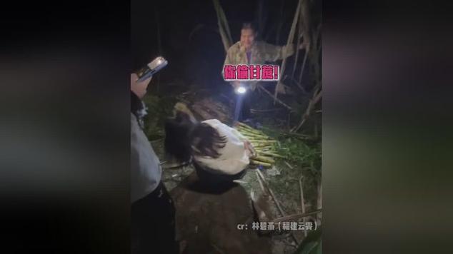 村里小孩自愿当偷甘蔗农场NPC抓人
