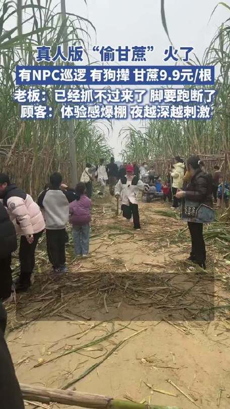 村里小孩自愿当偷甘蔗农场NPC抓人