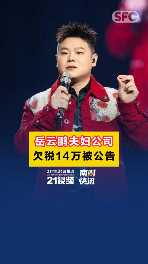 岳云鹏夫妇公司欠税14万被公告