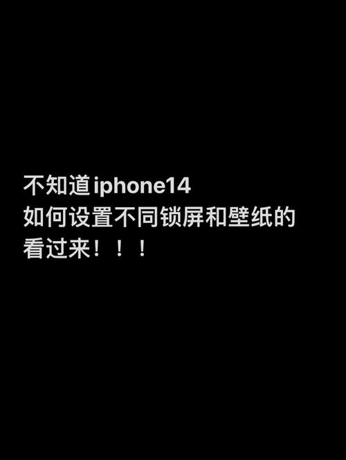 手机壁纸最新款如何设置
