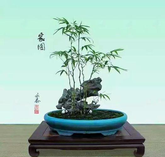 制作竹石短视频怎么做好看